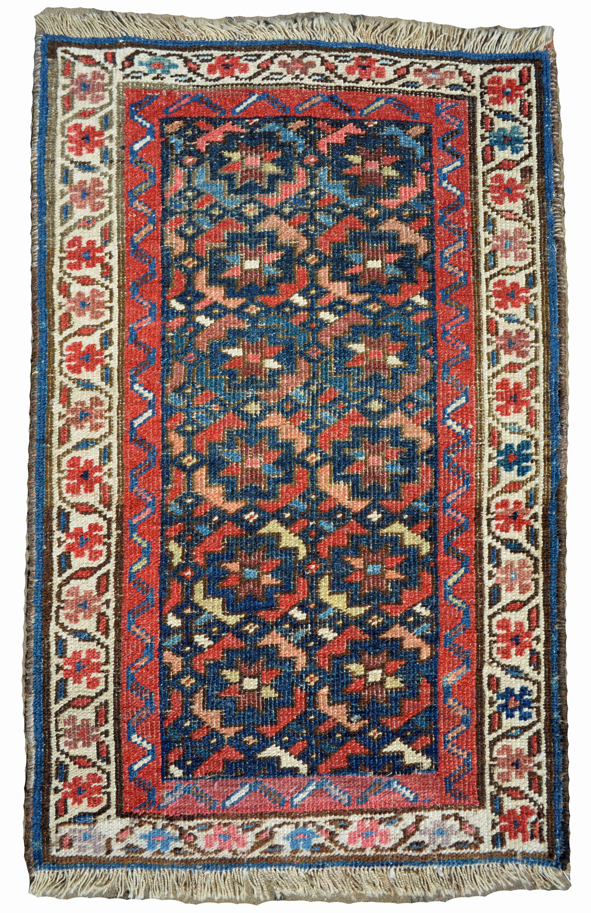 Kurd