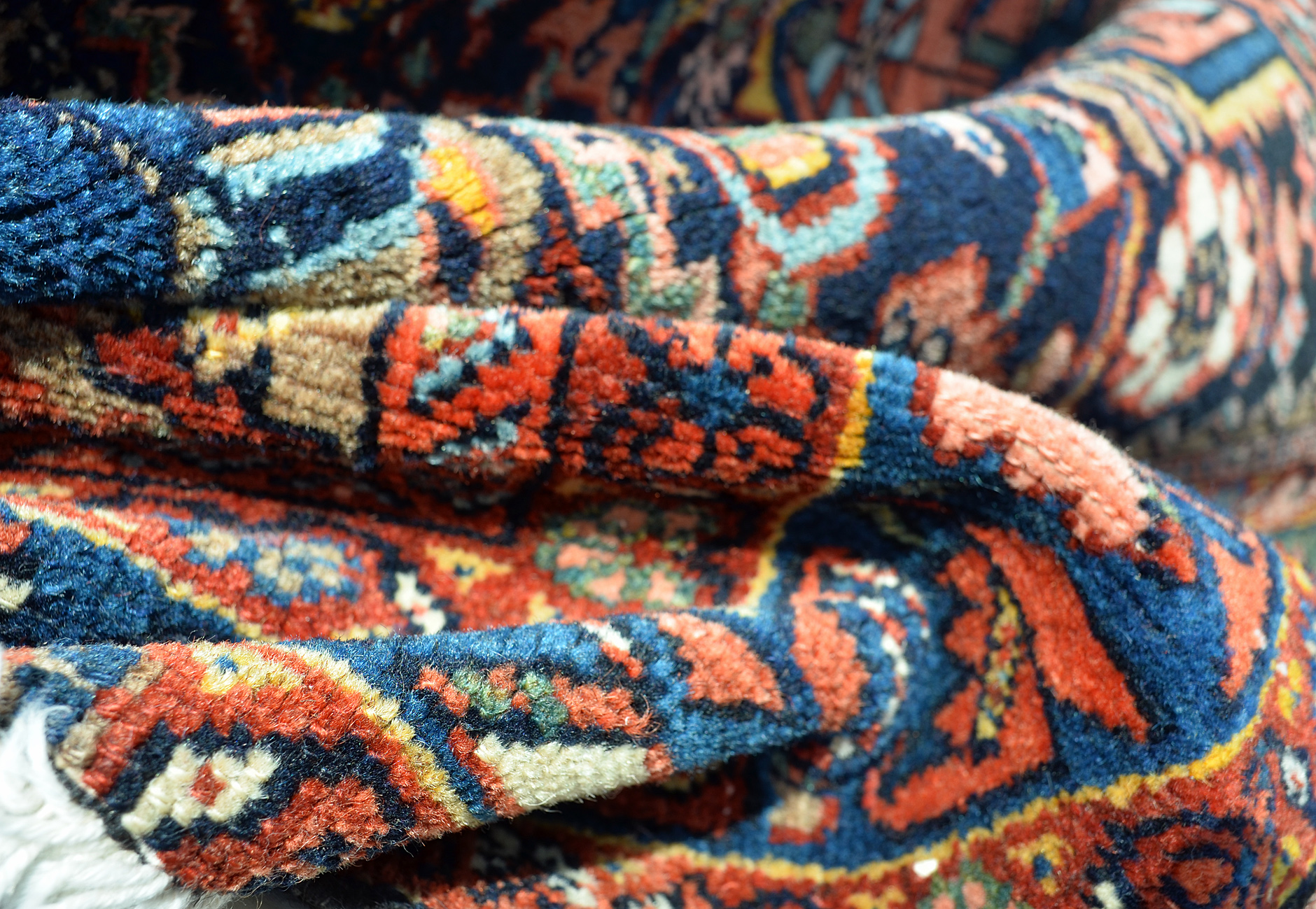 Kurd detail photo