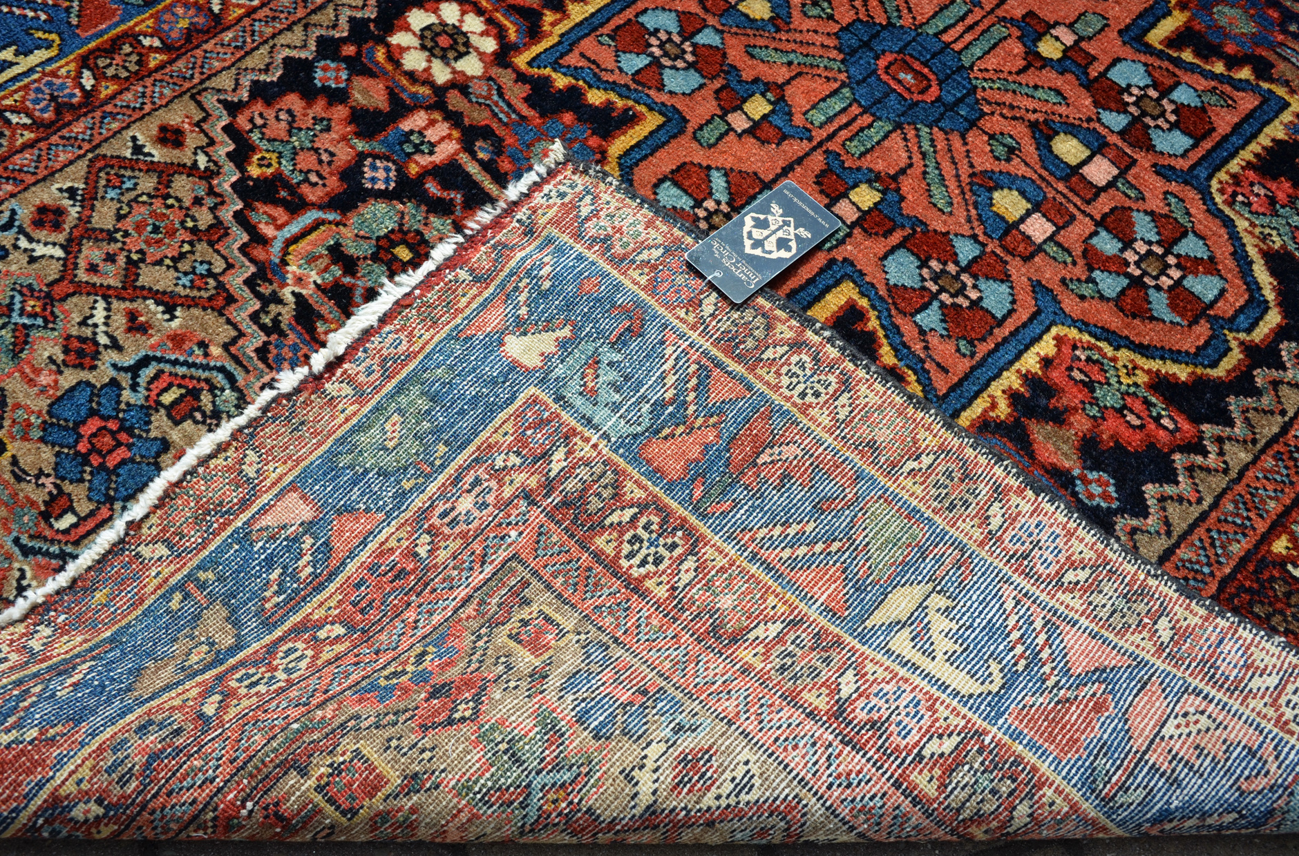 Kurd detail photo