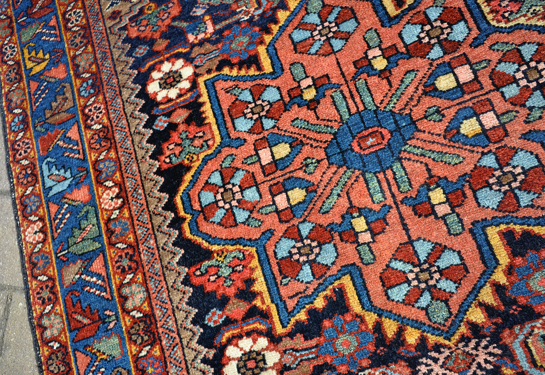 Kurd detail photo