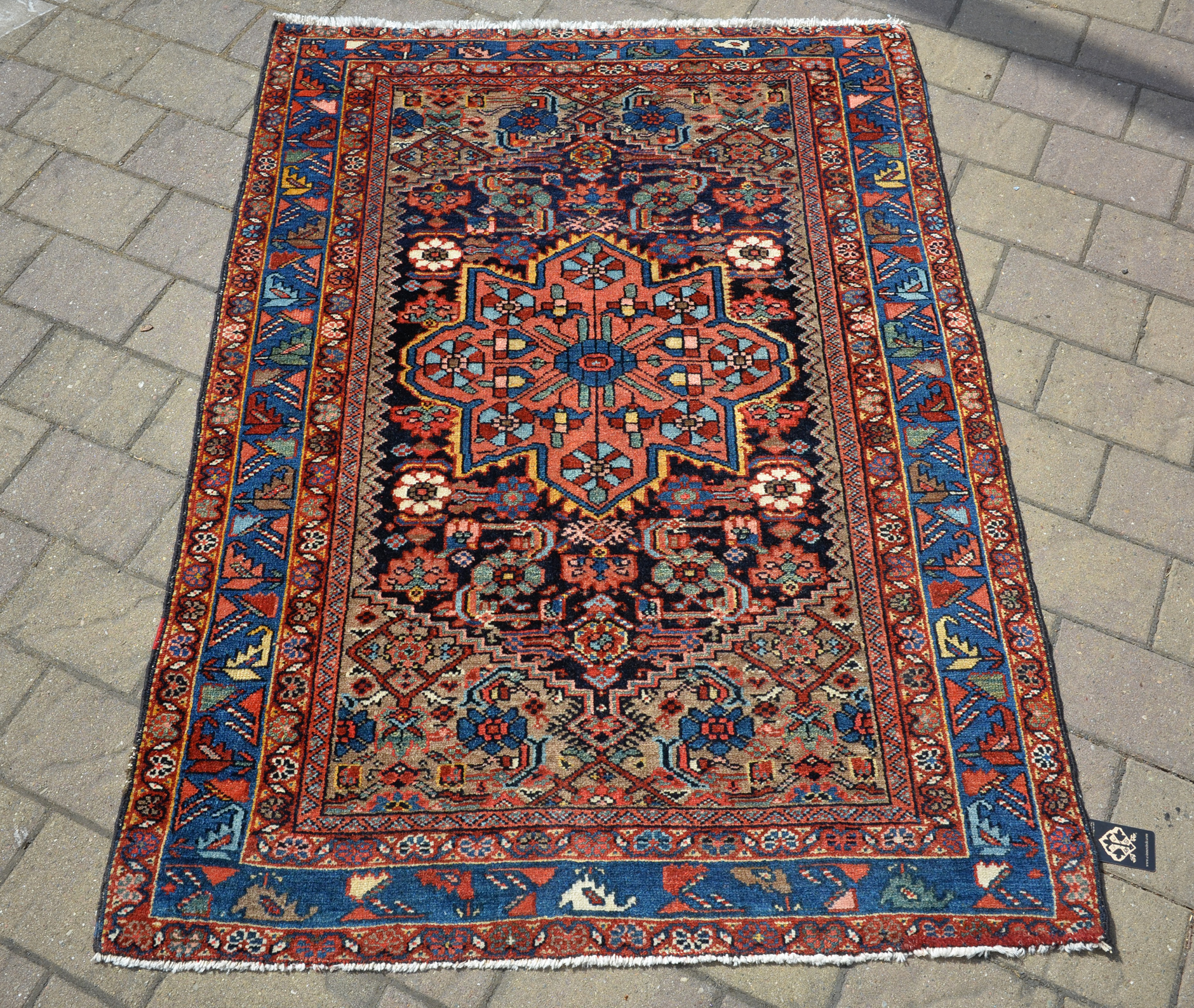 Kurd detail photo