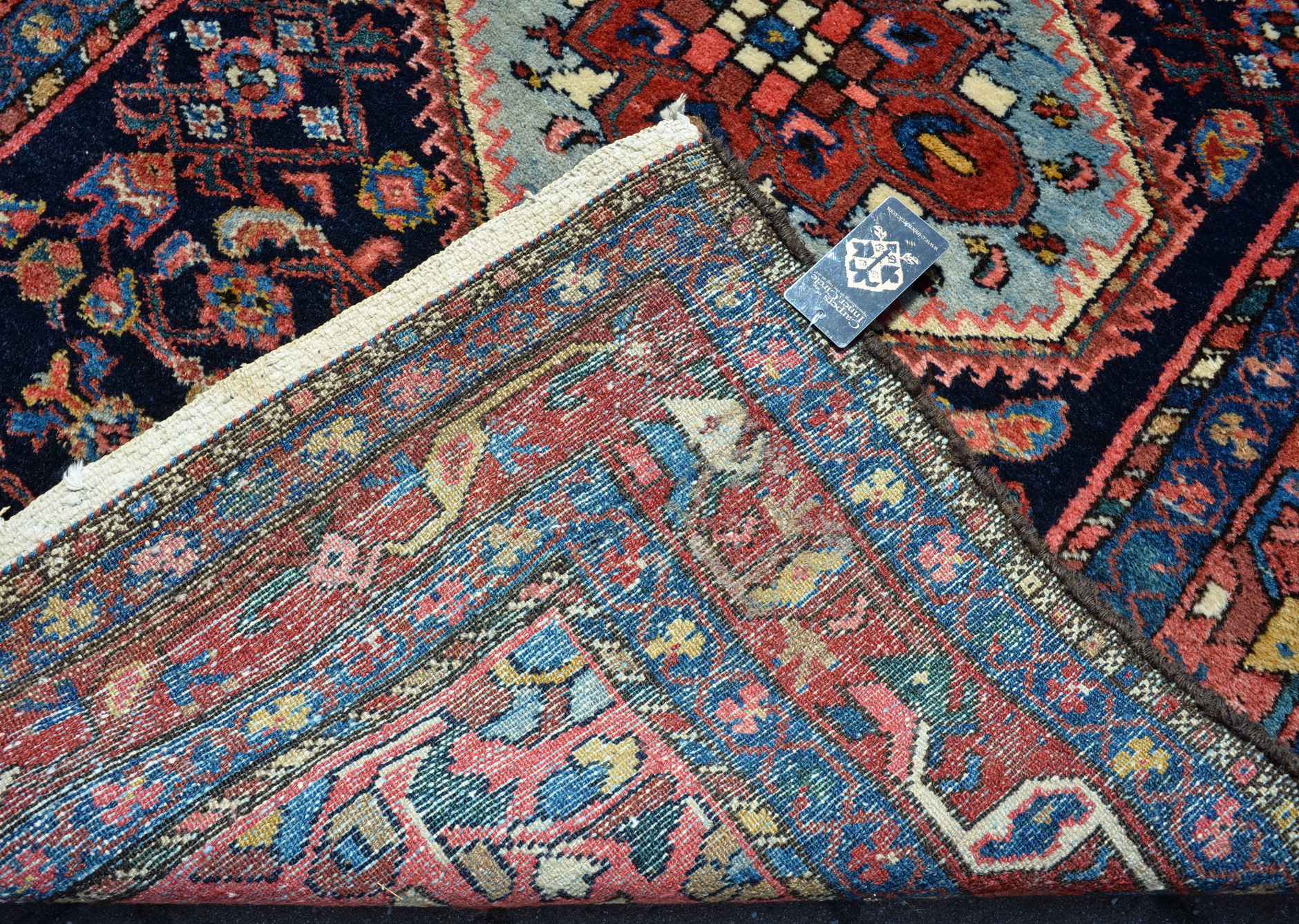 Kurd detail photo