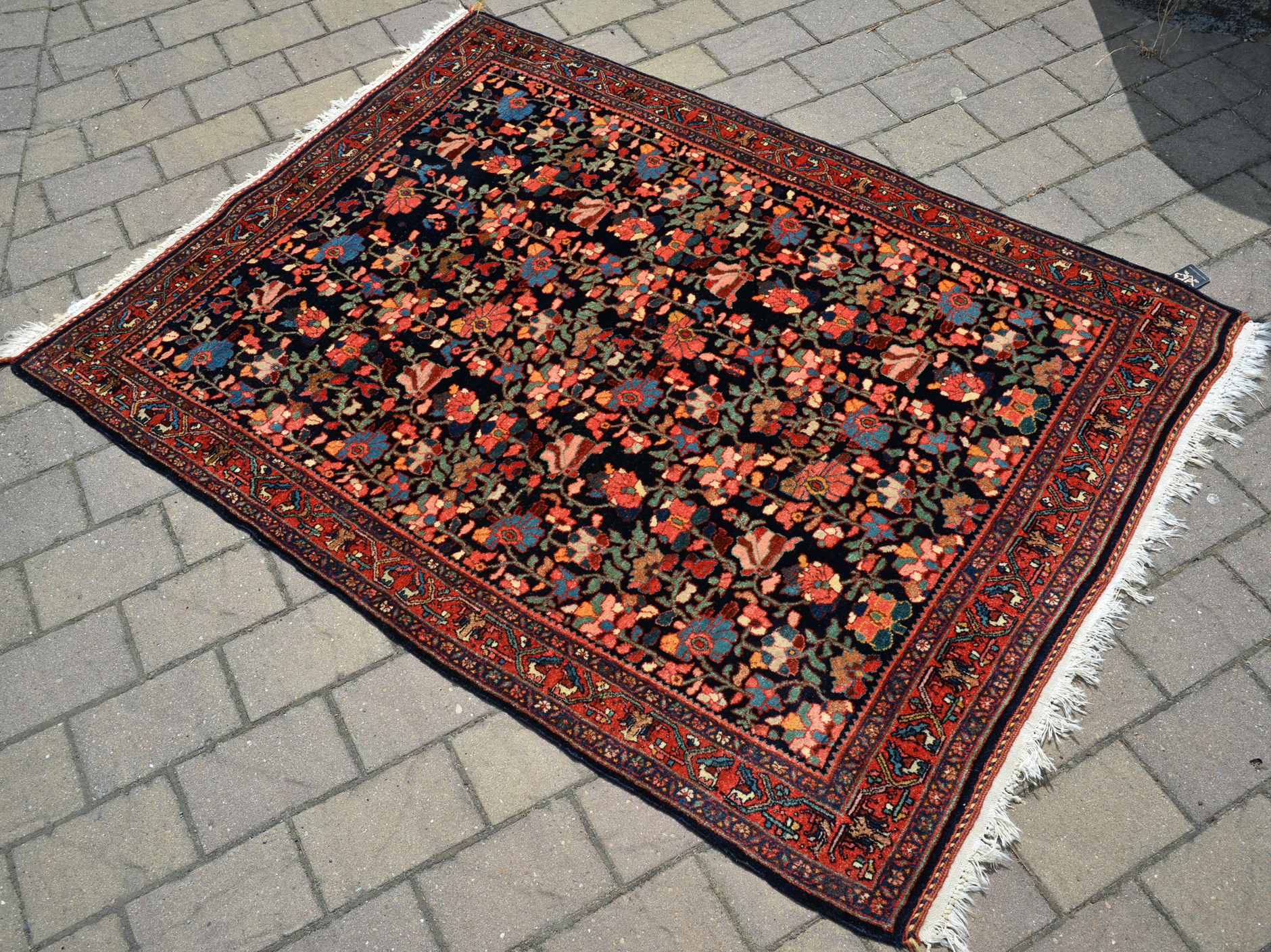 Bidjar small rug detail photo