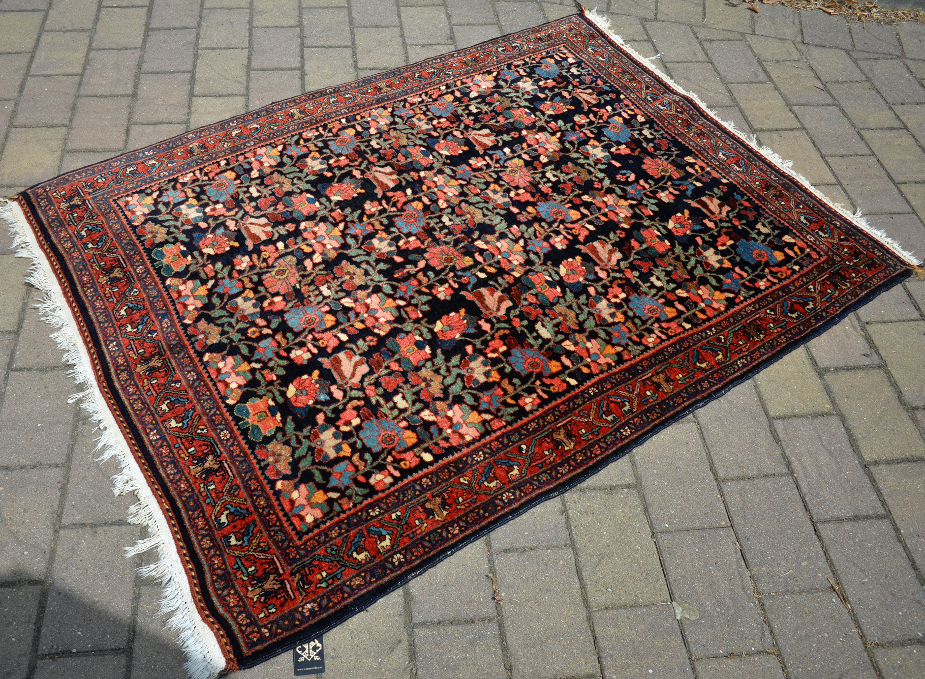 Bidjar small rug detail photo