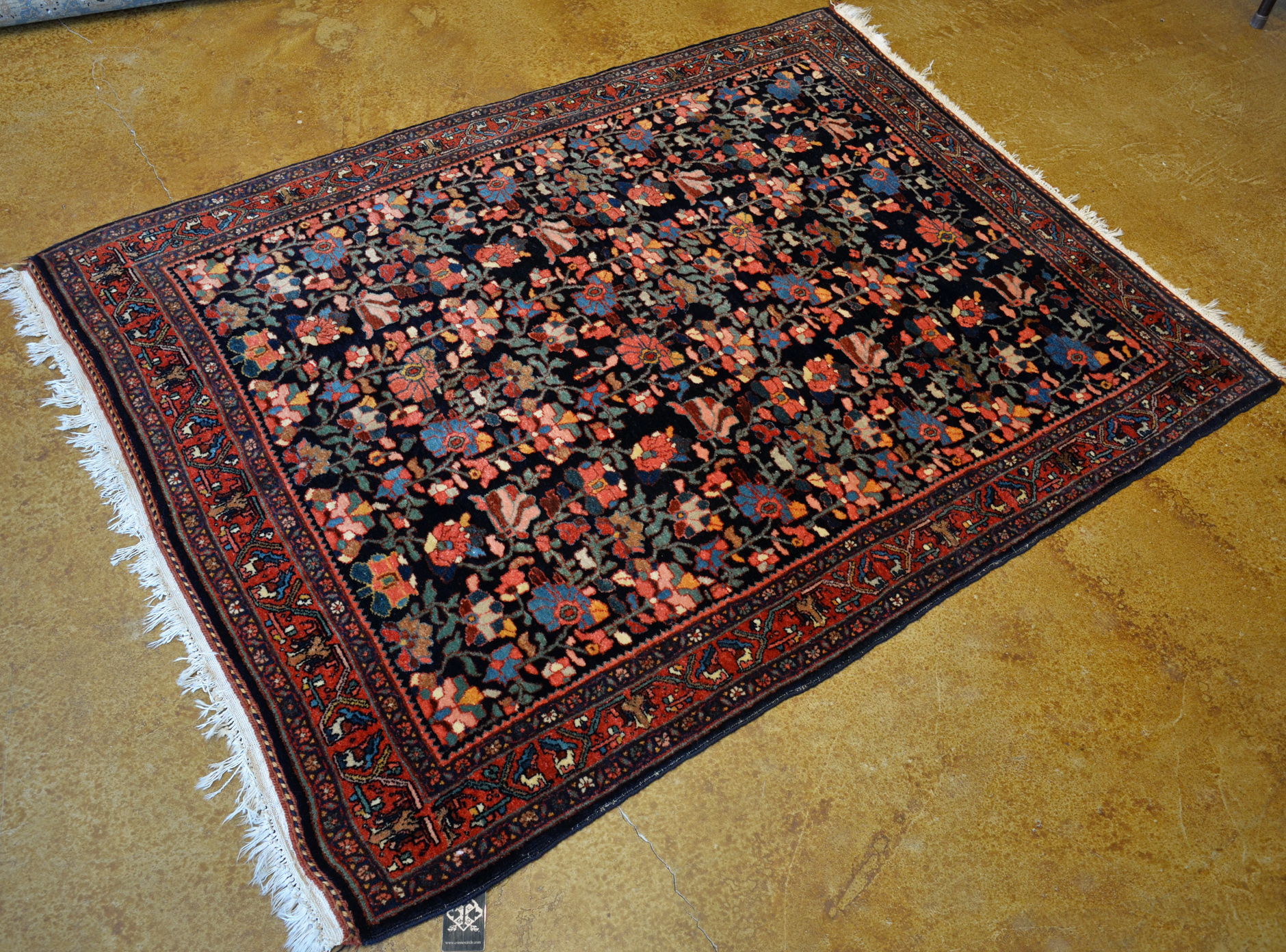 Bidjar small rug detail photo